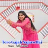 About Tero Gajab Najaro Hai Song
