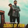 Sound of Pain
