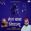 About Mera Baba Shivjiyu Song