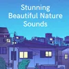 Stunning Beautiful Nature Sounds