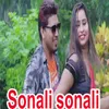About Sonali sonali Song