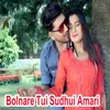 About Bolnare Tui Sudhui Amari Song