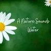 A Nature Sounds Water