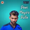 About Pani Mayiro Pulla Song