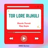 About Tor Lore Rijhuli Song