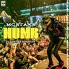 About Mc Stan's Numb Song