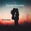 About Sanam Bewafa Song