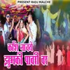 About Kashi Nachay Zumki Pawari Vr Song