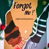 About Forgot Me Song