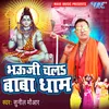 About Jai Shiv Lahari Song