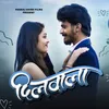 About Dilwala Song