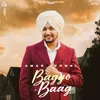 About Baggo Baag Song