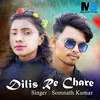 About Dilis Re Chare Song