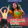 About Bharal Pichakari Hamar Rang Song