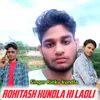 About rohitash kundla ki ladli Song