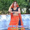 About Dil Tod Gai Janu Mera Song