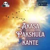 About Akasa Pakshula kante Song