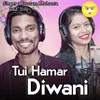 About Tui Hamar Diwani Song