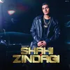 About Shahi Zindagi Song