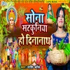 About Sun Satkuniya Ho Dinanath Song