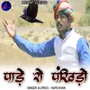 About Pade Ro Pankhido Song