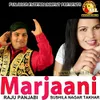 About Marjaani Song