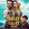 About Paani Paani - Bhojpuri Song