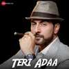 About Teri Adaa Song