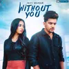 About Without You Song