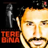 About Tere Bina Song