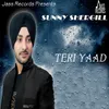 About Teri Yaad Song