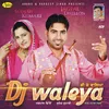 DJ Waleya