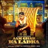 About Aam Ghar Ka Ladka Song