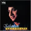 Parabrahmamokate (Unnikrishnan)