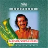 Krishna Nee (Kadri Gopalnath - Saxophone)