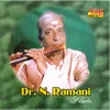 Manasa Sancharare (Dr.N.Ramani)