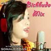 About Bichhudo Mix Song