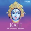 About Kali Chalisa Song