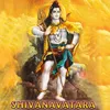 Shree Vushwanathane