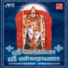 About Sriman Narayana Song