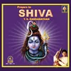 Shiva Thandava Stotram - Shiva