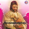 Pavanathmave