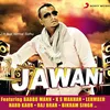 About Jawani Desi Mix Song