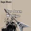 Tur Jaan Walliye