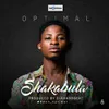 About Shakabula Song