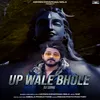 About UP Wale Bhole Song