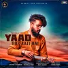 About Yaad Roz Aati Hai Song