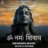 About Om Namah Shivay (Slow & Reverb) Song