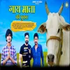 About Gau Mata Ki Pukar Song