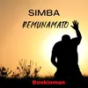 Simba Remunamato